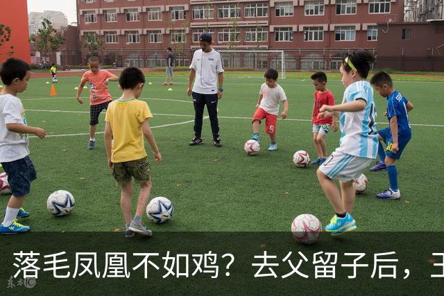落毛凤凰不如鸡？去父留子后，王鸥回应无戏可拍，坦言走上另一条路